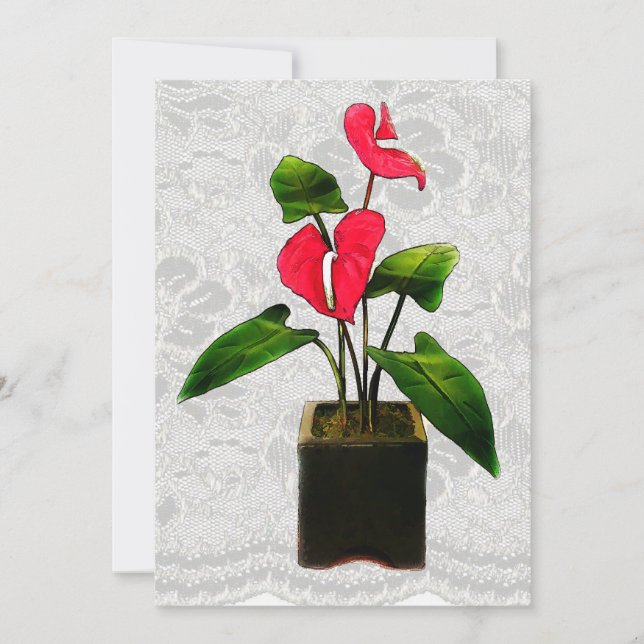 Rotes Anthurium in Planter Einladung (Vorderseite)