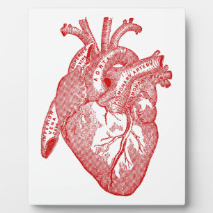Rotes antikes anatomisches Herz Fotoplatte