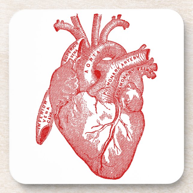 Rotes antikes anatomisches Herz Untersetzer (Vorderseite)