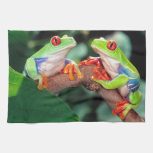 Rotes Auge Treefrog Pair, Agalychinis callidryas Geschirrtuch