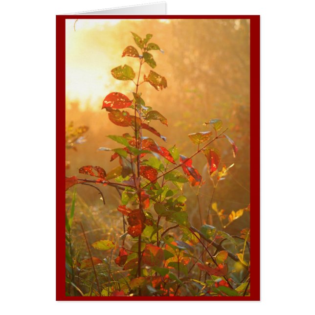 rotes Blatt (Vorne)