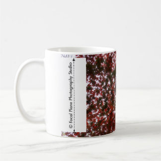 Rotes Blatt-Ahorn-Blätter Kaffeetasse