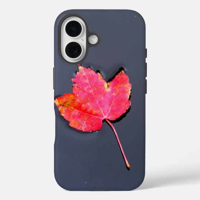 Rotes Blatt auf Wasser iPhone 16 Hülle (Rückseite)