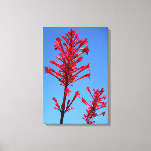 ROTES BLOOM 16x24 Leinwanddruck