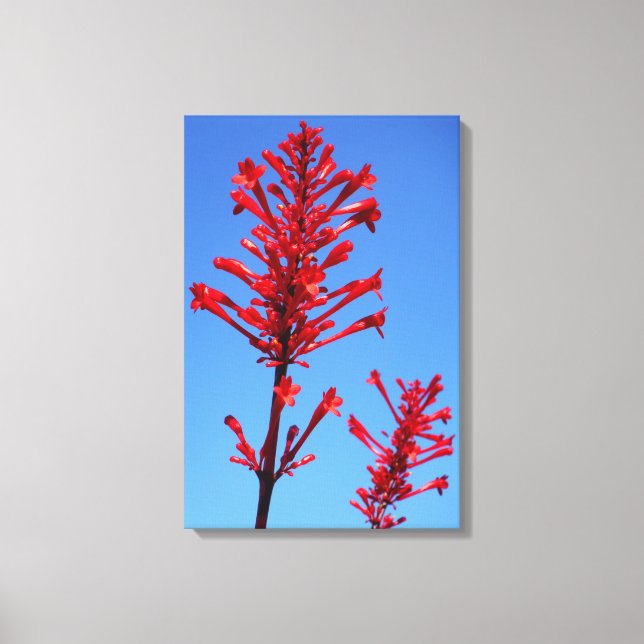 ROTES BLOOM 16x24 Leinwanddruck (Vorderseite)