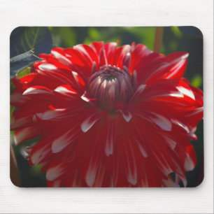 Rotes Blume mousepad