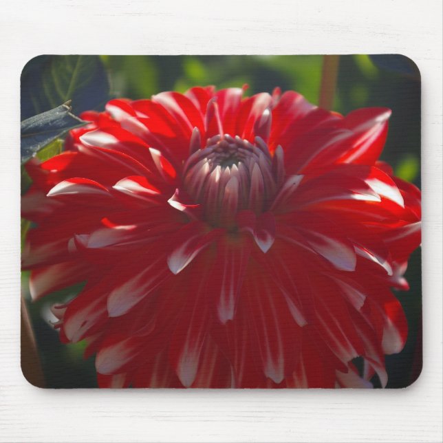 Rotes Blume mousepad (Vorne)