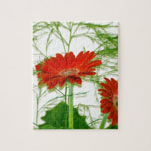 Rotes Blumen