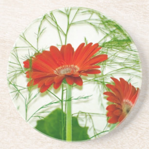 Rotes Blumen Getränkeuntersetzer
