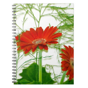 Rotes Blumen Notizblock