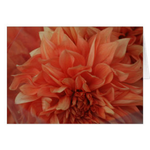 Rotes Blumenkarte *Blank