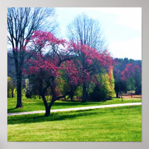 Rotes Blütenpflaster Poster