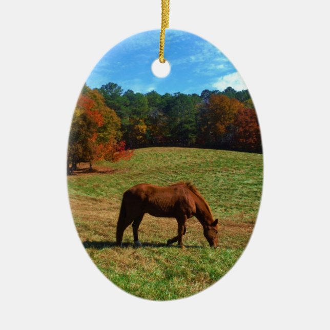 Rotes braunes Pferd, Bäume fallen, blauer Himmel Keramik Ornament (Vorne)