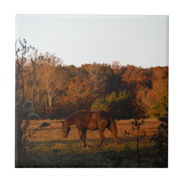 Rotes braunes Pferd, Herbstwald. Fliese (Vorderseite)