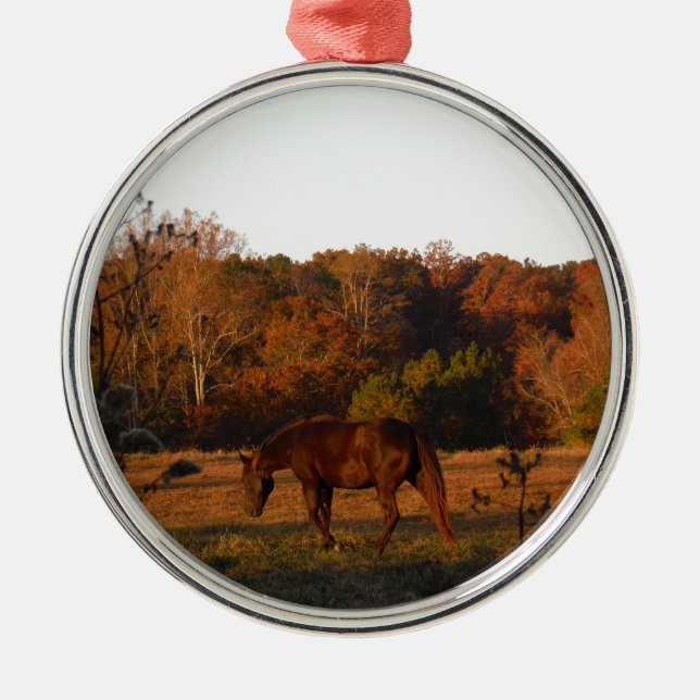 Rotes braunes Pferd, Herbstwald. Ornament Aus Metall (Vorne)