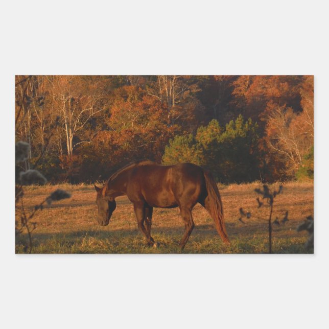 Rotes braunes Pferd, Herbstwald. Rechteckiger Aufkleber (Vorderseite)