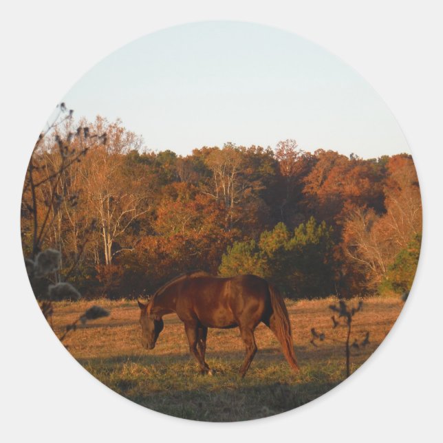 Rotes braunes Pferd, Herbstwald. Runder Aufkleber (Vorderseite)