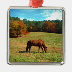 Rotes Brot, Aquamariner Blauhimmel Silbernes Ornament