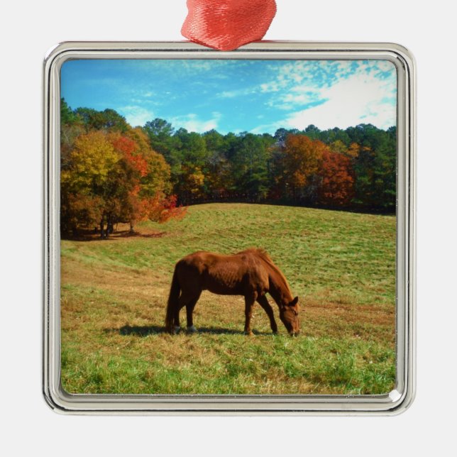 Rotes Brot, Aquamariner Blauhimmel Silbernes Ornament (Vorne)