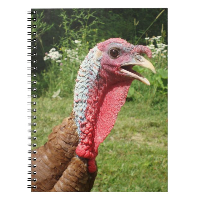 Rotes die Türkei Notizbuch Bourbons Notizblock (Vorderseite)