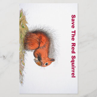 Rotes Eichhörnchen