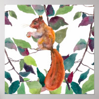 Rotes Eichhörnchen Acorns Baumzweige Rustikal