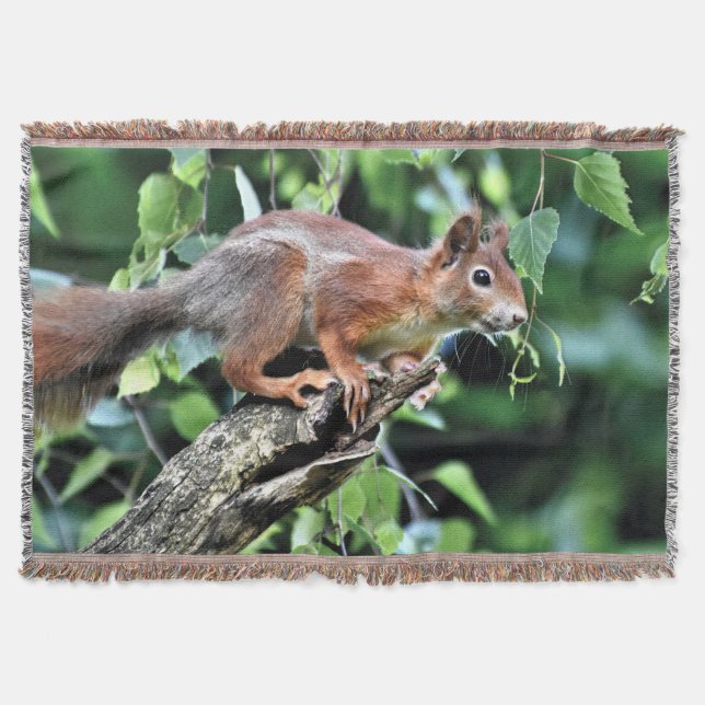 Rotes Eichhörnchen Decke (Vorderseite)