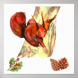 Rotes Eichhörnchen Eicheln Zirbelzapfen im Landhau Poster