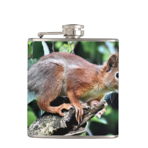 Rotes Eichhörnchen Flachmann
