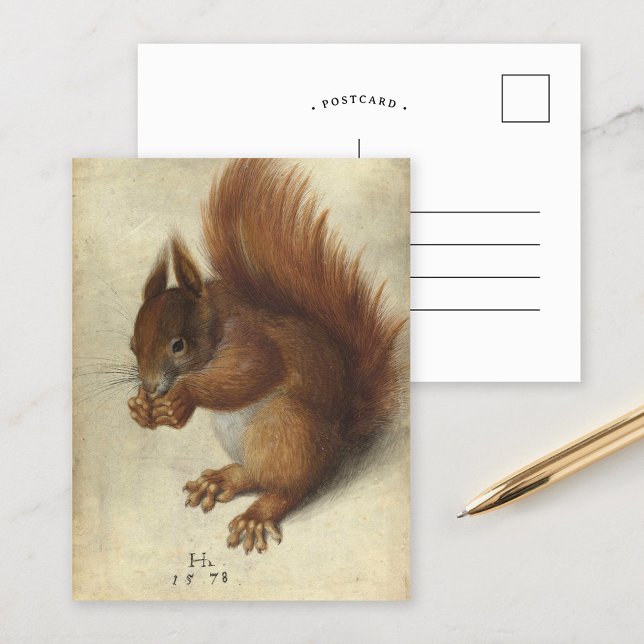 Rotes Eichhörnchen | Hans Hoffmann Postkarte (Von Creator hochgeladen)