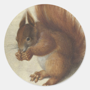 Rotes Eichhörnchen   Hans Hoffmann Runder Aufkleber