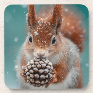 Rotes Eichhörnchen im Schnee mit Pinecone Getränkeuntersetzer