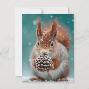 Rotes Eichhörnchen im Schnee mit Pinecone Postkarte