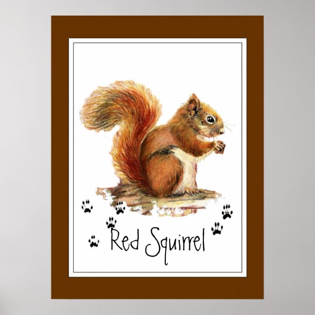 Rotes Eichhörnchen in Originalfarbe Tier Poster (Vorne)