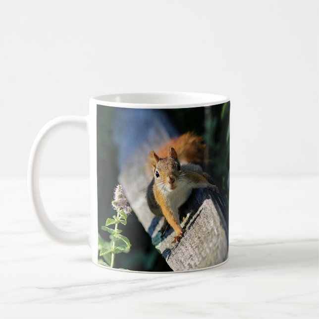 Rotes Eichhörnchen Kaffeetasse (Links)