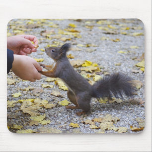 Rotes Eichhörnchen Mousepad