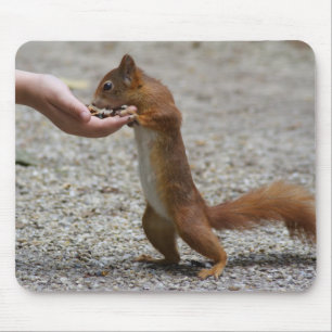 Rotes Eichhörnchen Mousepad