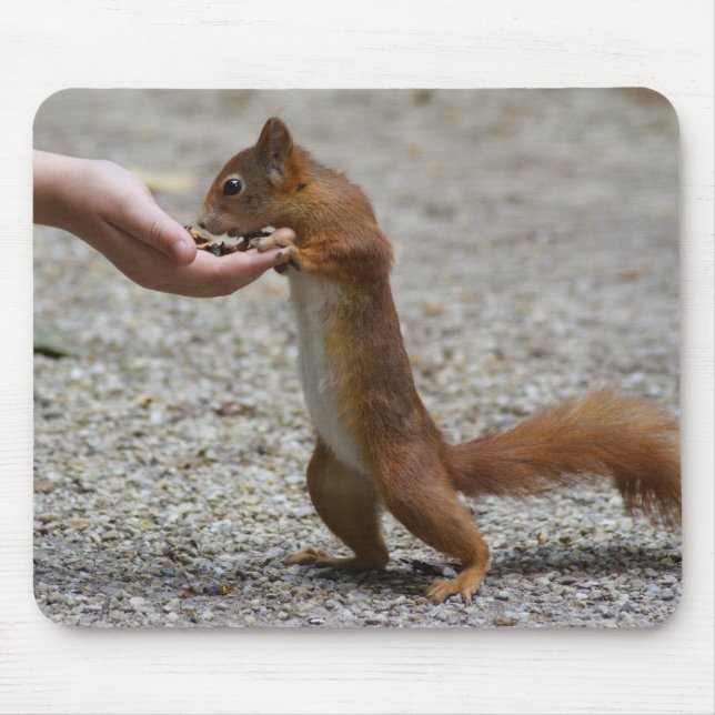 Rotes Eichhörnchen Mousepad (Vorne)