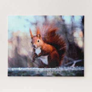 Rotes Eichhörnchen Nah, Puzzle