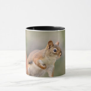 Rotes Eichhörnchen Tasse
