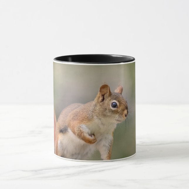 Rotes Eichhörnchen Tasse (Zentrum)