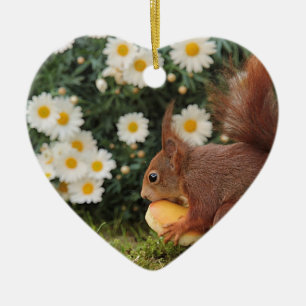 Rotes Eichhörnchen und Gänseblümchen Süßes Foto Keramik Ornament