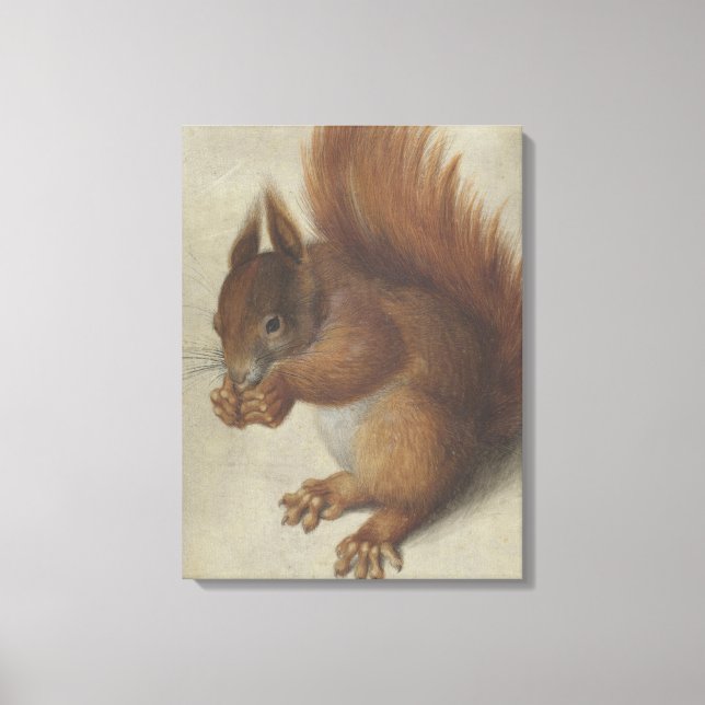 Rotes Eichhörnchen (von Hans Hoffmann) Leinwanddruck (Vorderseite)