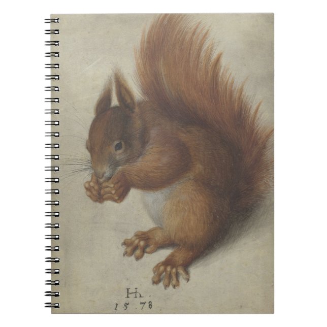 Rotes Eichhörnchen (von Hans Hoffmann) Notizblock (Vorderseite)