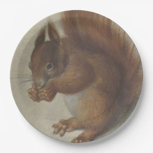 Rotes Eichhörnchen (von Hans Hoffmann) Pappteller