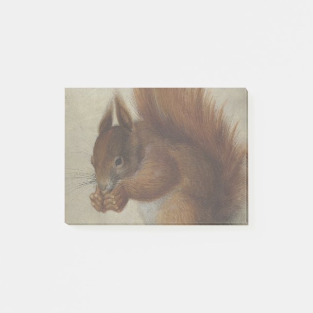 Rotes Eichhörnchen (von Hans Hoffmann) Post-it Klebezettel (Vorderseite)