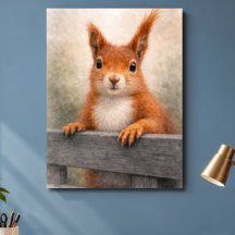 Rotes Eichhörnchen-Wald-Wildleben
