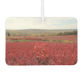 Rotes Feld Autolufterfrischer