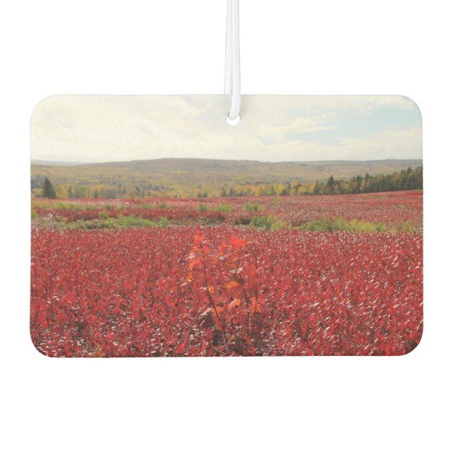 Rotes Feld Autolufterfrischer (Vorderseite)