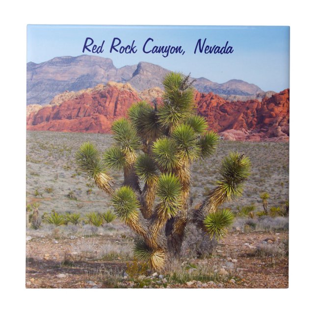 Rotes Felsen-Schlucht-Naturschutzgebiet Fliese (Vorderseite)